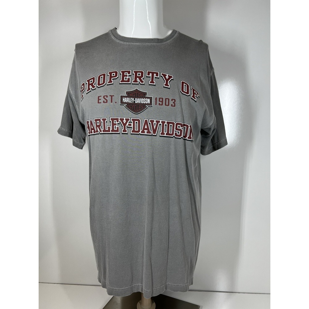 Harley Davidson Motorcycle 2010 Bowling Green Kentucky T Shirt Mens SZ Medium